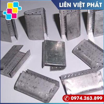 Bọ sắt
